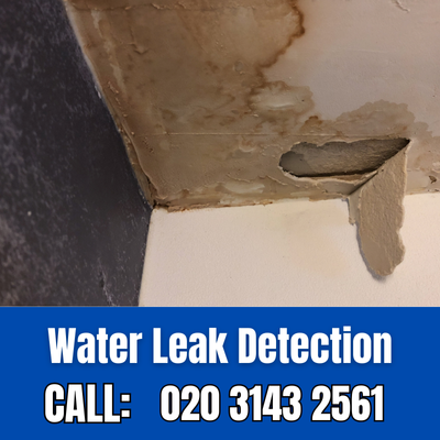 Expert Water Leak Detection Services in East Finchley | East Finchley Leak Detection